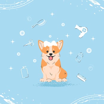 Cute corgi dog with bubbles in flat style. Pet grooming illustration for content, label, banner, greeting card. Vector