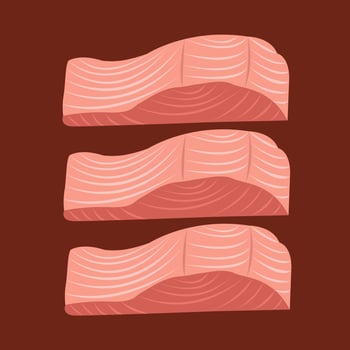 Salmon fillet meat vector illustration for graphic design and decorative element