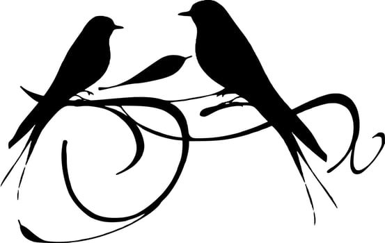 Bird on the branch vector