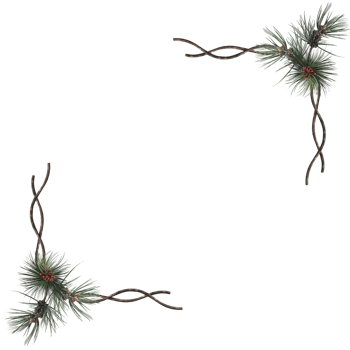 decorative frame of evergreen spruce branches and cones png