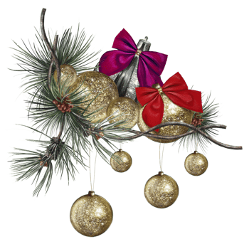 Christmas balls with bows on an evergreen spruce branch png