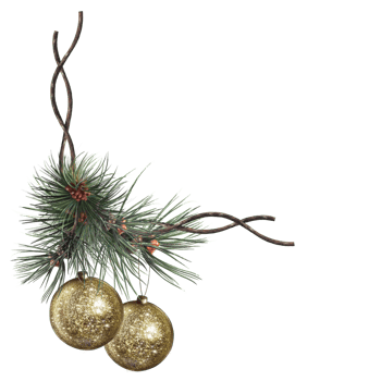festive composition of fir branches and golden Christmas balls png