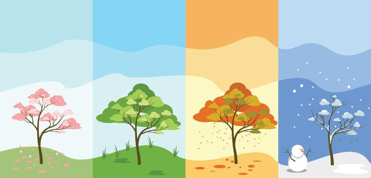 4 season tree with landscape all season different in environment vector