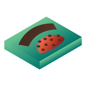 Bonbon green box icon, isometric style vector