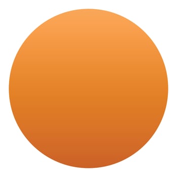 Orange icon, isometric style vector