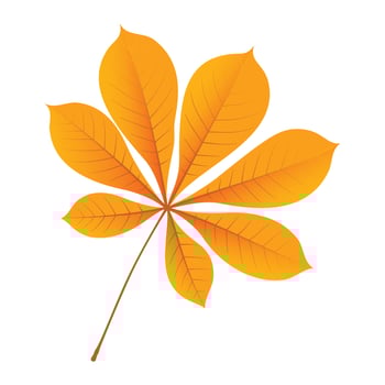 Autumn chestnut leaf icon, flat style vector