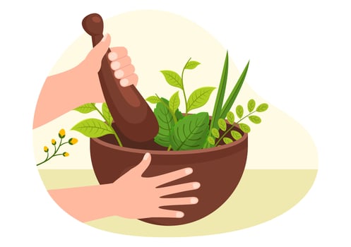 Alternative Medicine or Herbal Cure of Energy Therapies with Ginseng Root, Essential Oil and Seeds in Flat Cartoon Hand Drawn Templates Illustration vector