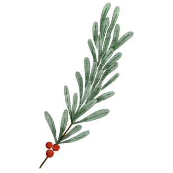 Christmas Branch Watercolor png