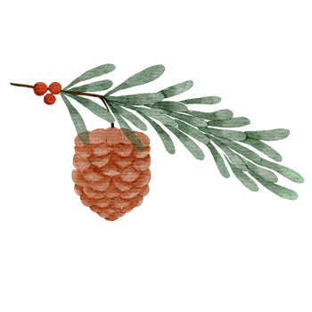 Pine Watercolor Illustration png