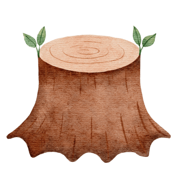 Stump Watercolor illustration png