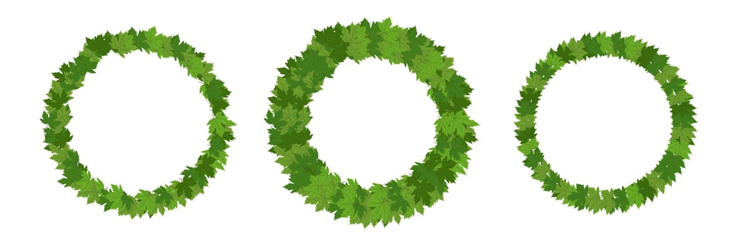 Circle frame wreath with leaves vector