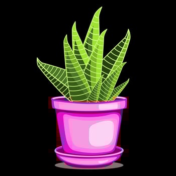 Zebra cactus houseplant in ceramic pot in flat technique vector