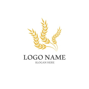 Wheat logo vector icon illustration
