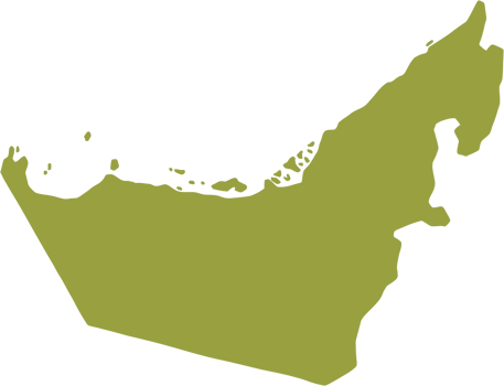 doodle freehand drawing of united arab emirates map. png