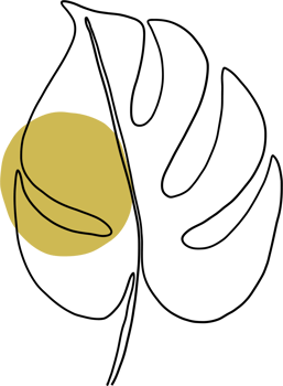 simplicity monstera plant freehand continuous line drawing png
