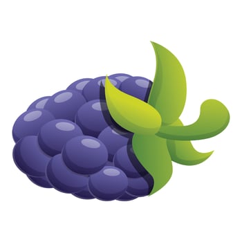 Fruit blackberry icon, cartoon style vector