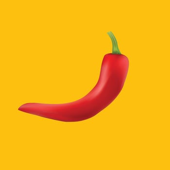 realistic red chili pepper vector