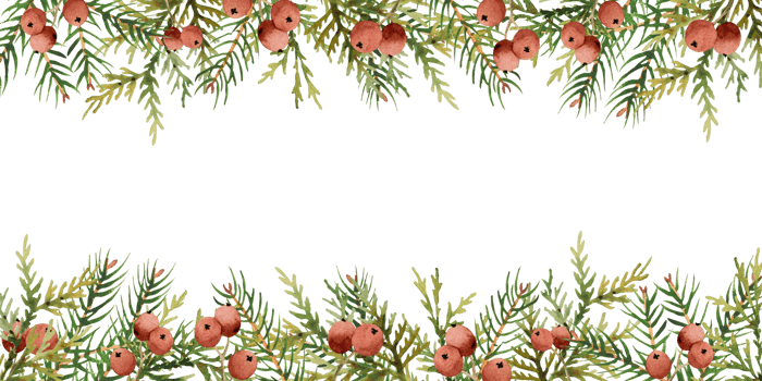 Watercolor christmas frame wih spruce png