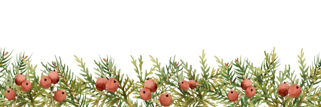 Watercolor christmas frame wih spruce png