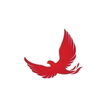 Falcon wing icon Template vector
