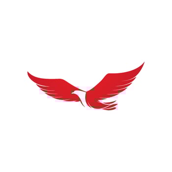 Falcon wing icon Template vector