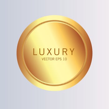 Luxury premium golden badge labels collection vector