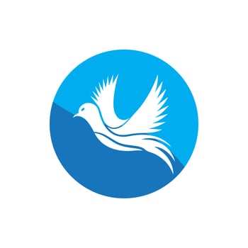 Bird wing dove logo template vector