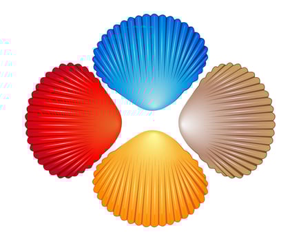 Four different colored sea shells on a white background vector