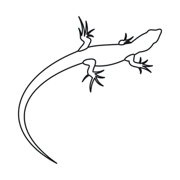 Lizard icon, outline style vector