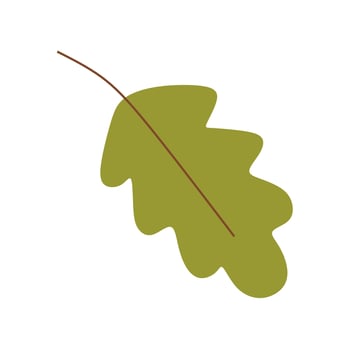 Oak leaf. Isolated on a white background. vector