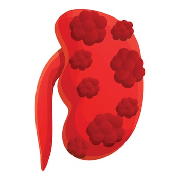 Renal kidney icon, cartoon style vector