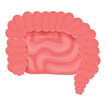 Healthy intestine icon, cartoon style vector