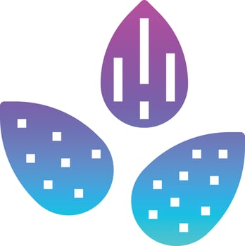 almond diet nutrition nut - solid gradient icon vector
