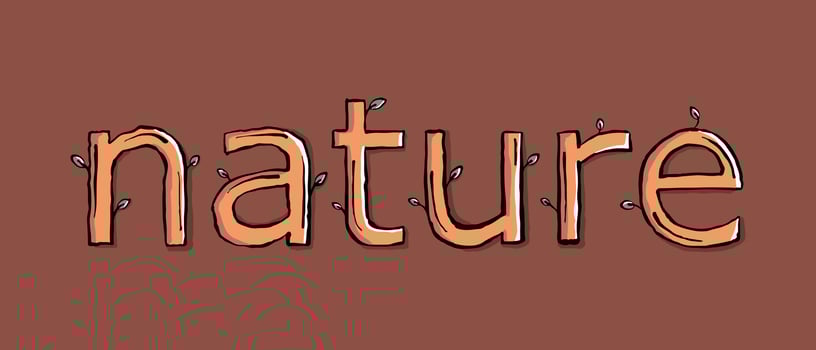 Hand drawing of nature letter with leaves vector