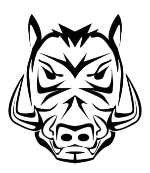 wild boar illustration vector