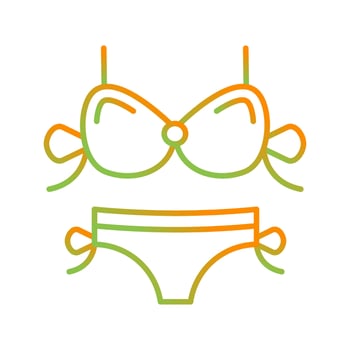 Bikini Vector Icon