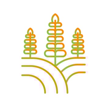 Field Vector Icon