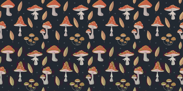 Hand drawn Seamless pattern of forest mushrooms. Vector amanita mushroom