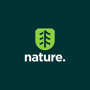 simple emblem tree logo. pine forest icon. nature plantation symbol. Nature environment eco sign. Vector illustration.