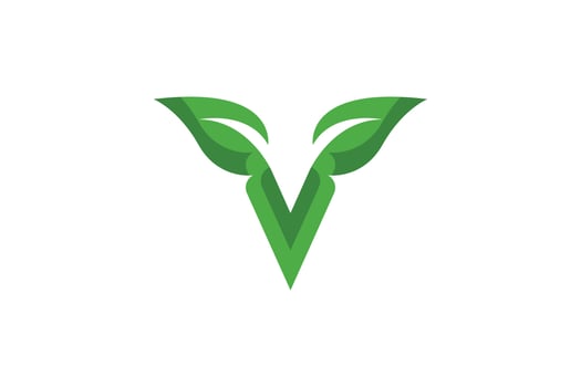 Creative Letter V Logo vector