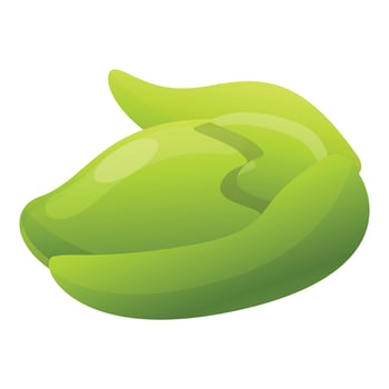 Green jojoba icon, cartoon style vector