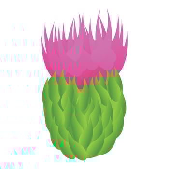 Thistle scottish flower icon, cartoon style vector