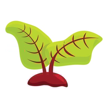 Beetroot waste icon, cartoon style vector
