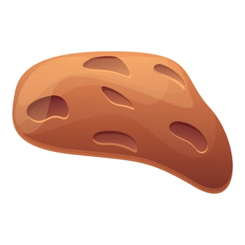 Asteroid debris icon, cartoon style vector