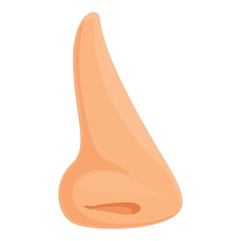 Nose shape icon cartoon vector. Plastic surgery vector