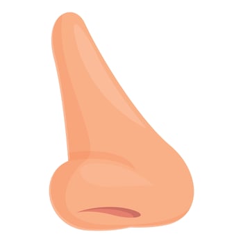 Septum rhinoplasty icon cartoon vector. Nose surgery vector