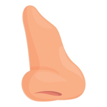 After rhinoplasty icon cartoon vector. Nose bone vector