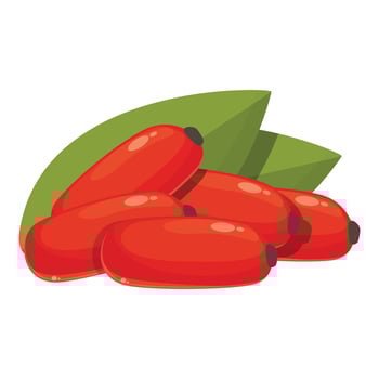 Food barberry icon cartoon vector. Leaf branch vector