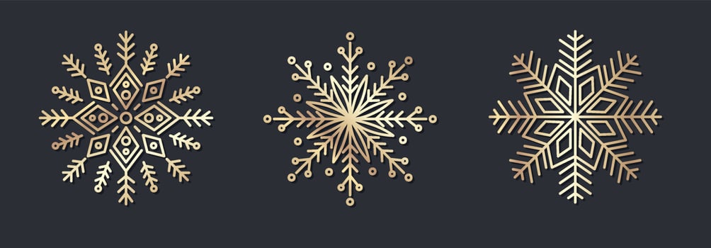 Set of decorative gold snowflakes ornament vector