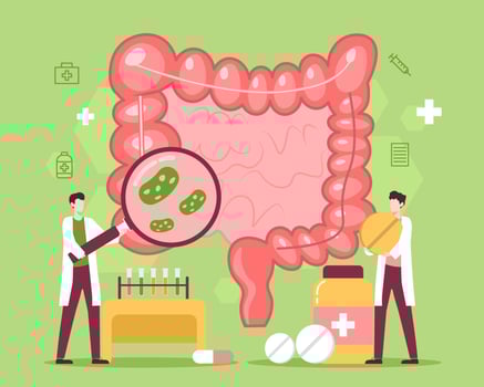 Intestine disease treatment with medicine and people illustration vector